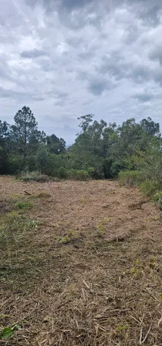 Excelente Sitio proximo rs 020 em Gravatai parada 79