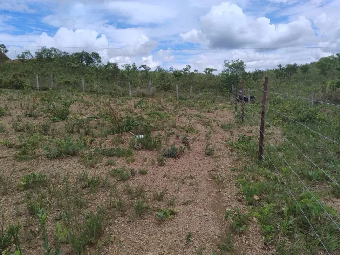Vendo esse lote no sabona entre o Paranoá e fazenda velha, lote tem 200 metros quadrados 1