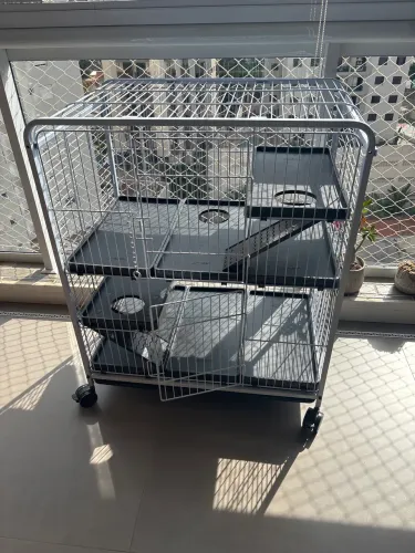 Viveiro para porquinho da Índia