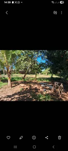Chácara na cidade 2