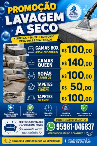 Lavagem a seco 