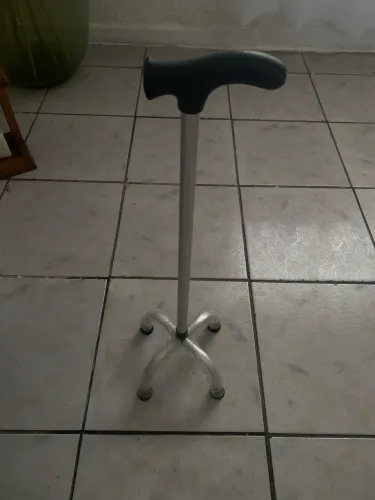 Bengala 4 patas