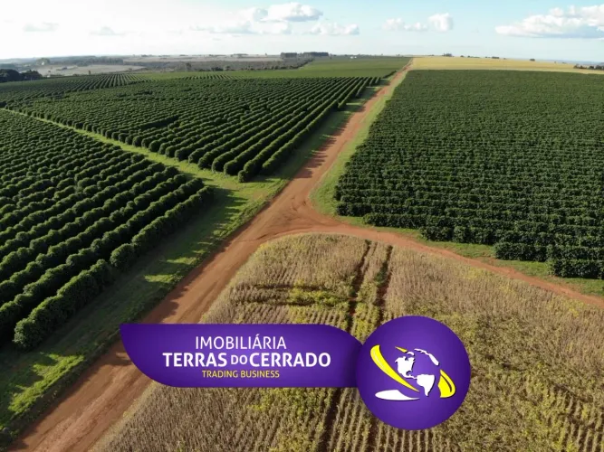 FAZENDA COM 180 HECTARES PRA CAFÉ, PERTO DO ASFALTO!!