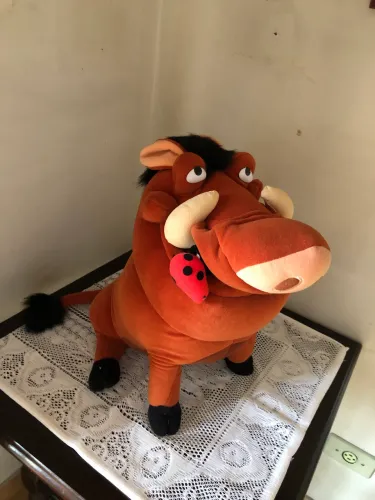 Rei Leão ?