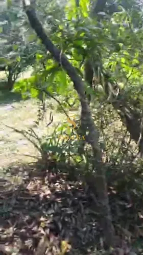 Terreno à venda em Capoeiras, Florianópolis/SC.