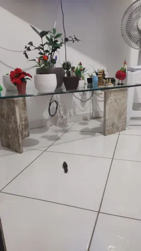 Mesa de centro 