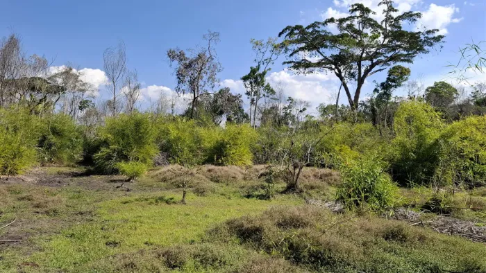 ABAIXOU!!! OPORTUNIDADE - FAZENDA BARATA - MUITO PERTO DE PORTO VELHO