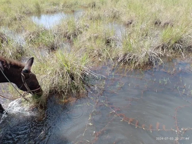 Vendo fazenda em tapiramulta 