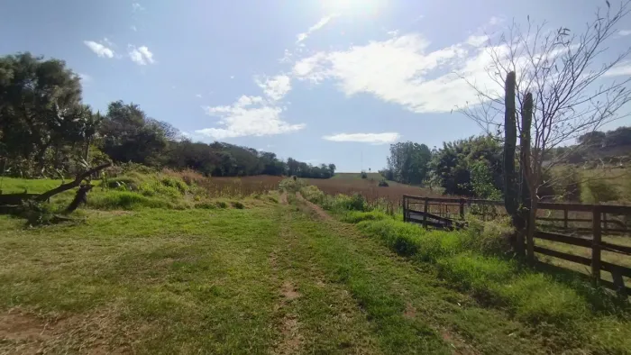 Sítio 3 alq.,Água Boa-Pr,Estrada ótima, a 2.3 km do asfalto, R$ 1.500.000,00