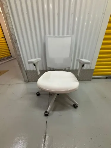 Cadeira Diretor Flash Tela Back Plax - Base Itália - R$ 300 cada (6 disponíveis)