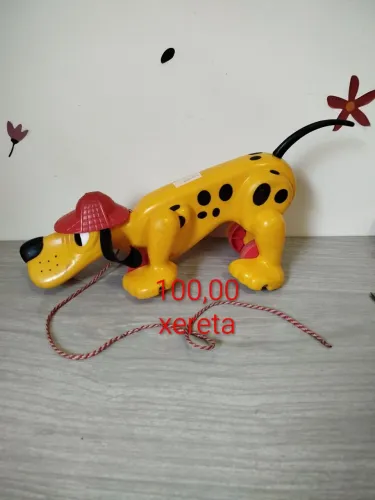 Cachorro xereta estrela