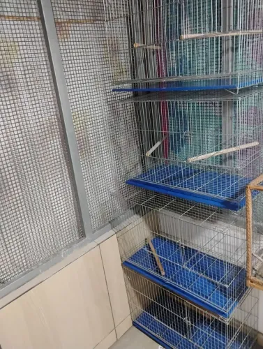 Gaiola para reprodução 70 cm a unidade