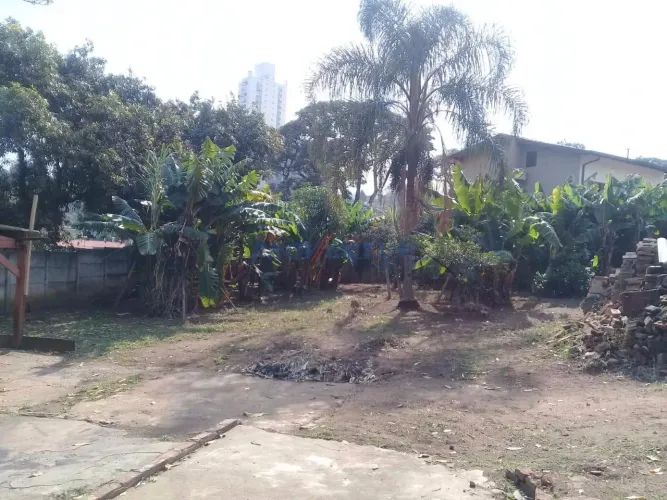 terreno - Jardim Chapadão - Campinas
