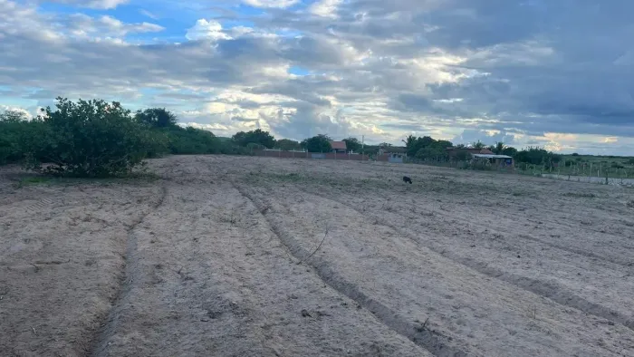 TERRENO PARA USINA SOLAR - PRONTO PARA IMPLANTAÇÃO
