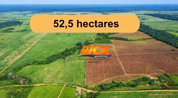 Vende-se excelente sítio com 52,5 hectares em Cujubim/Rondônia