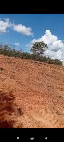 Fazenda de arrendamento pra Eucalipto 2.017 hec a 115 km de Rondonópolis MT.