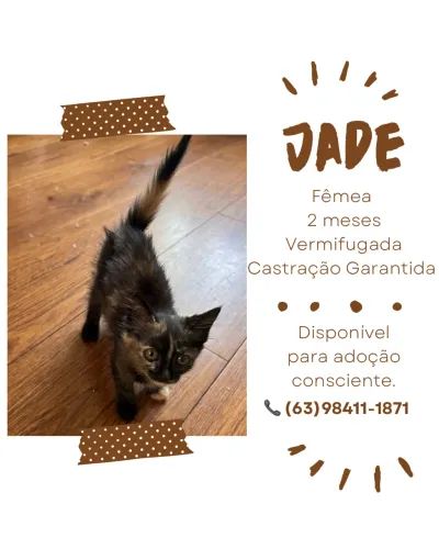 Adoção responsável