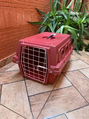 Caixa de Transporte para Cães e Gatos - Ótimo Estado!