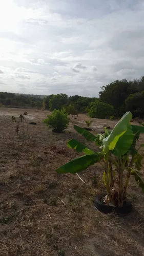Terreno praia bela