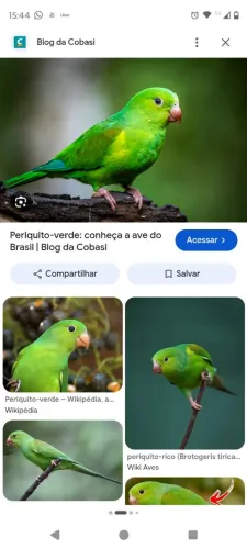 Procuro para comprar
