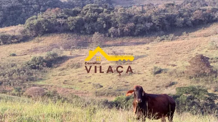 Terreno - Área para comprar Zona Rural Tiradentes