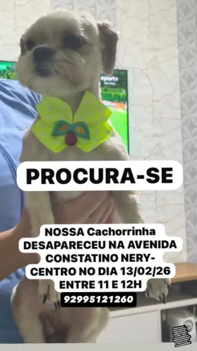 Procura-se