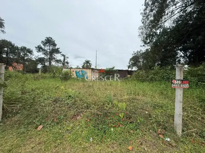 Terreno à venda no bairro Sertãozinho