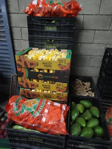 Contrato Carregador de Hortifruti (Ceasa)