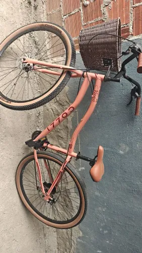 Bicicleta coli