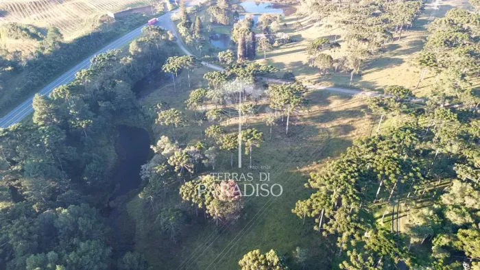 Terreno urbano com 32.628 m² frente SC 418 em Campo Alegre - SC