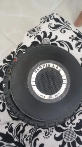Auto falante de 12 polegadas