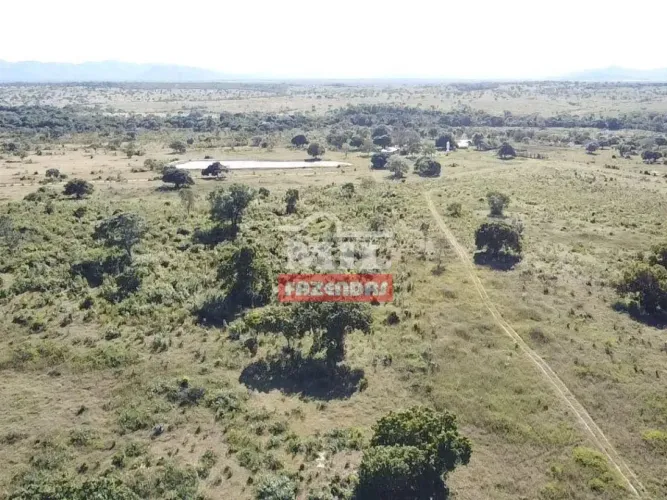 Fazenda 338 alqueires (1.636 hectares) Arraias - TO