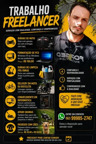 Freelancer