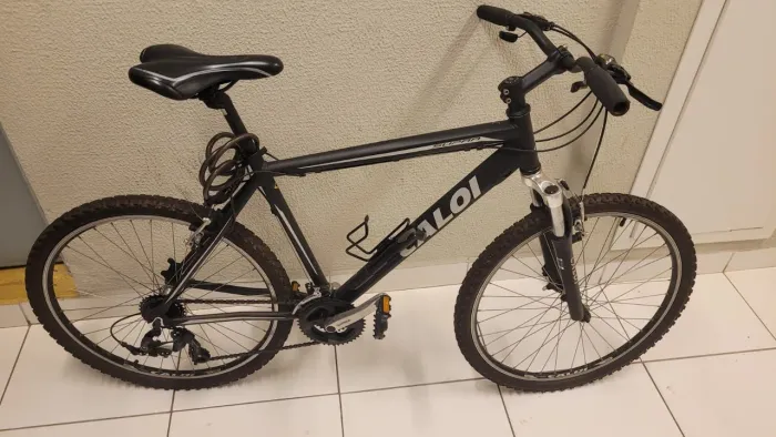 Bicicleta