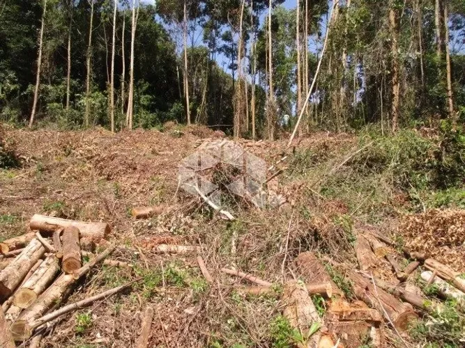 Chácara em Nova Petrópolis na serra gaúcha