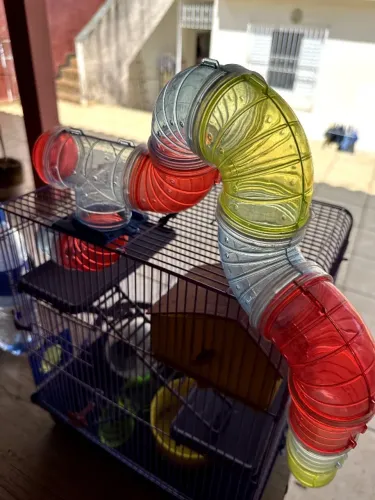 Gaiola para hamster