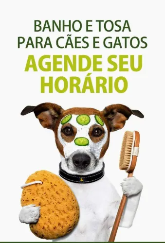Banho e tosa em domicílio