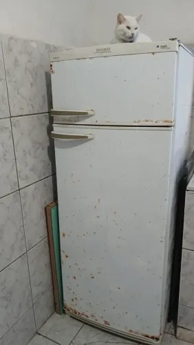 Geladeira dako dueto