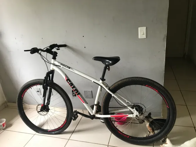 Bike Caloi Aro 29