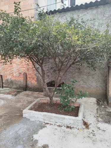 Casa aluguel marajo