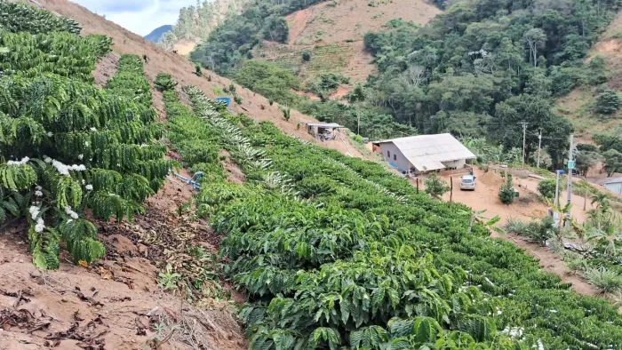 Sítio Produtivo em Alto Rio Novo - Oportunidade