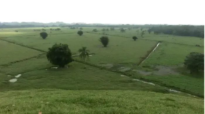 Fazenda de Alto Desempenho em Registro/SP à venda 175 Alqueires (Porteira Fechada)
