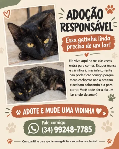 Doa-se gatinha