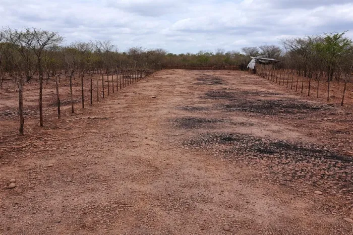 Terreno a venda em Maranguape - CE ( Lagoa do juvenal)