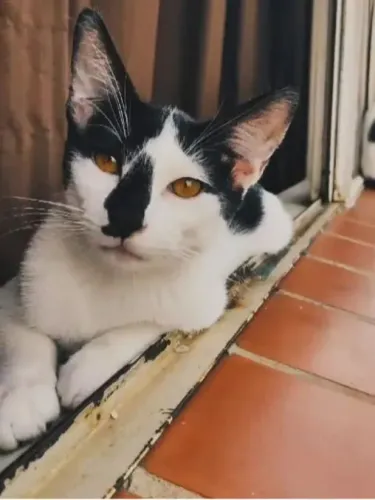 Doação 