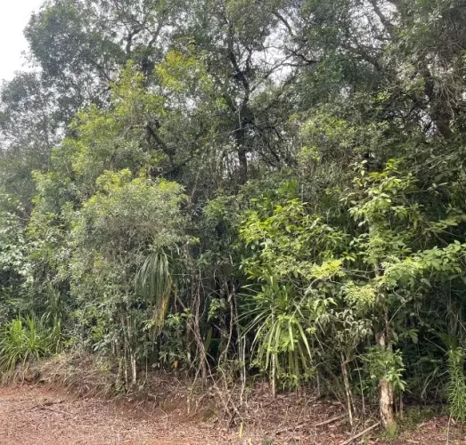 Terreno em Condomínio Fechado - 2.267m2 | Pronto para construir
