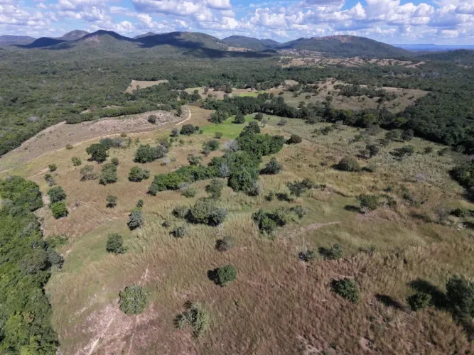 Vendesse fazenda no município de  Araguapaz - Go 
