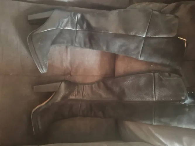 Bota