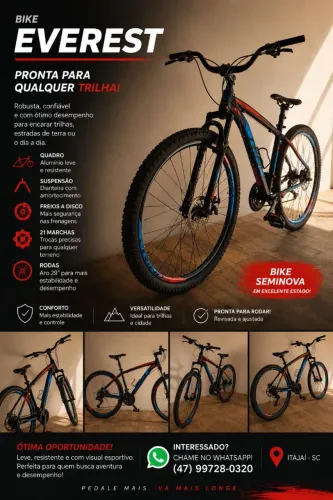Bike Rino Everest Aro 29