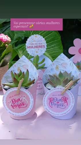 Lembrancinhas com Suculentas para o dia das mulheres 